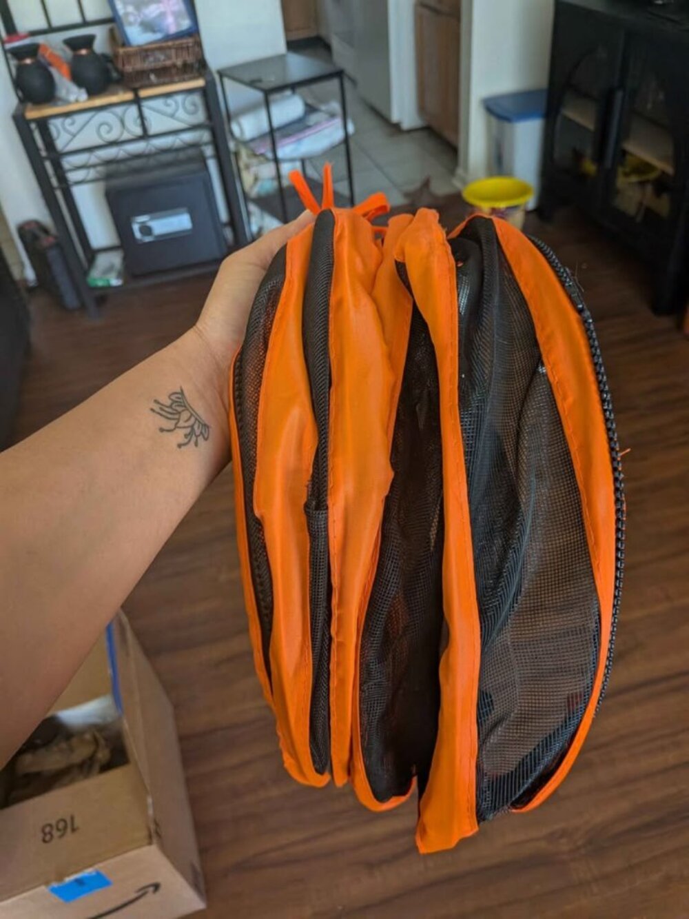 Catio - Picture 4 of 8